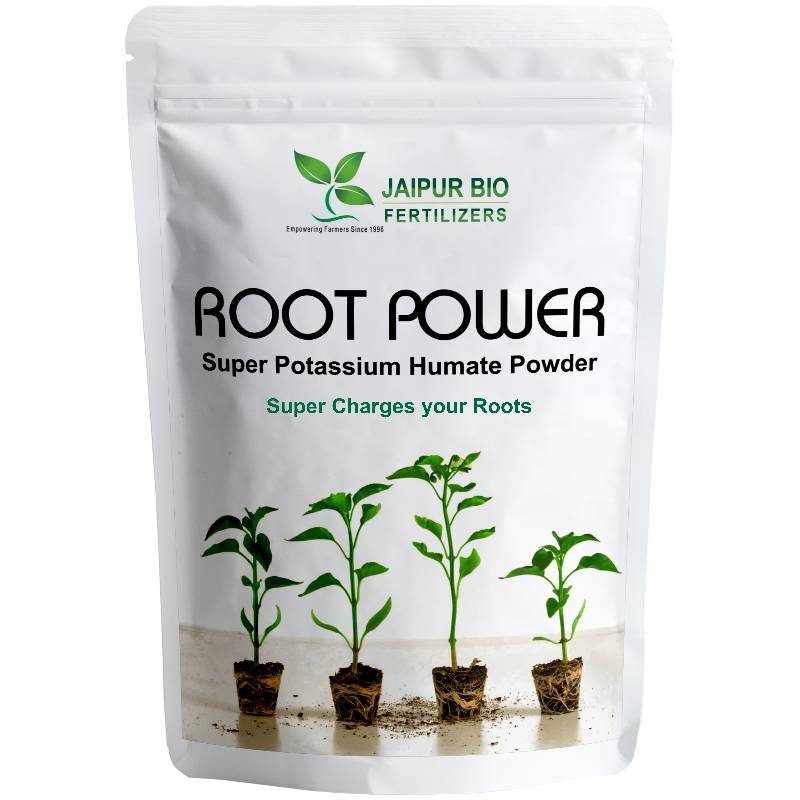 Root POWER